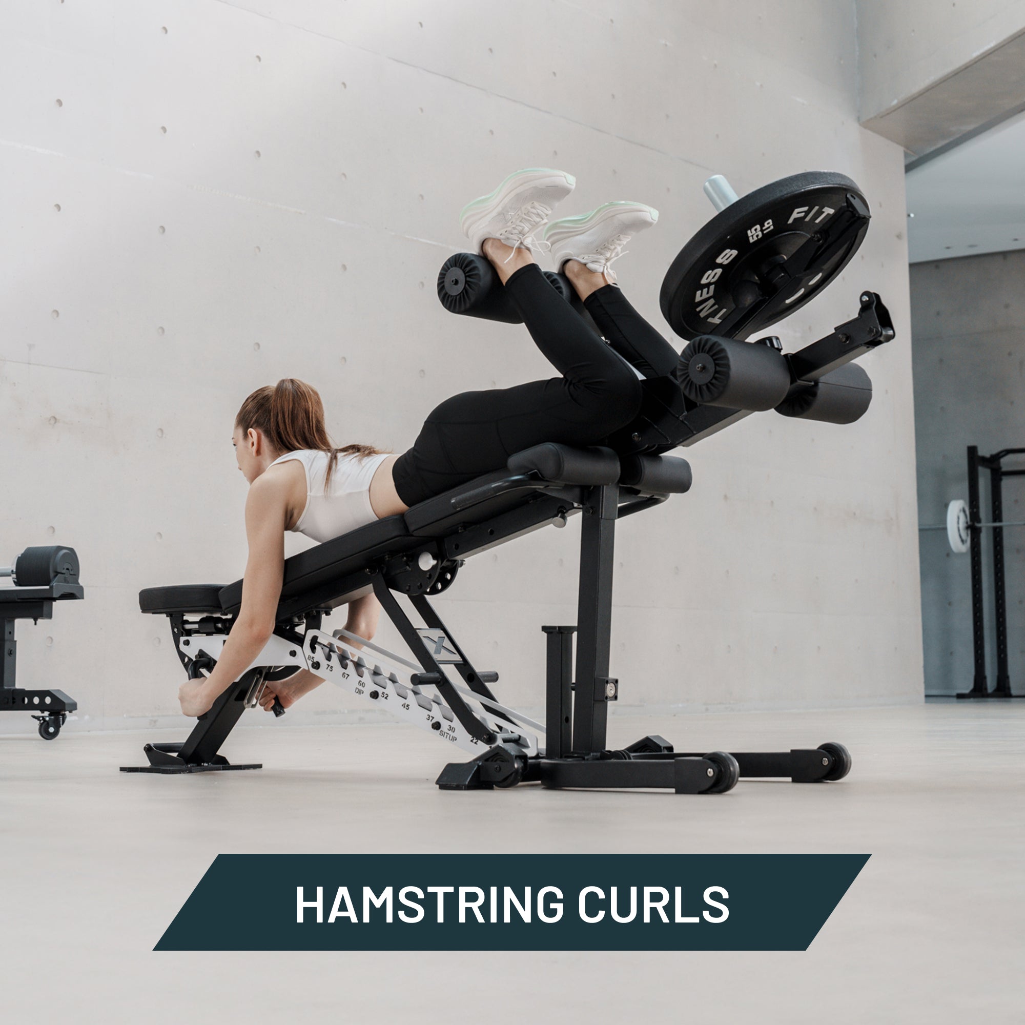 Freak Athlete ABX - 10 Machines in 1 | Adjustable Weight Bench